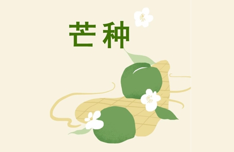 創洲木門丨芒種，是豐收也象征著新生